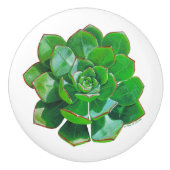 Rosette Succulent Ceramic Knob Keramische Knop (Voorkant)