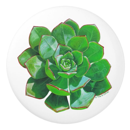 Rosette Succulent Ceramic Knob Keramische Knop (Voorkant)