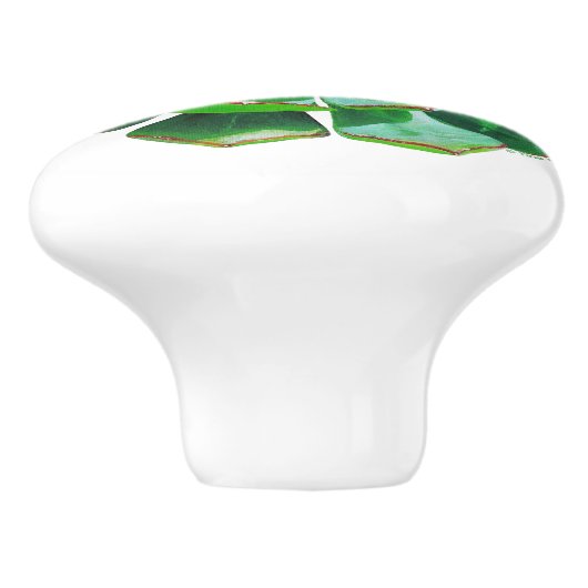 Rosette Succulent Ceramic Knob Keramische Knop