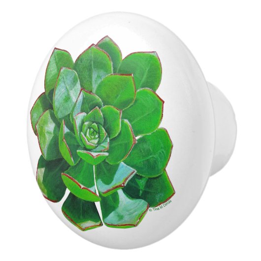 Rosette Succulent Ceramic Knob Keramische Knop (Rechts)