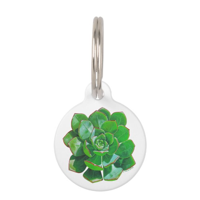 Rosette Succulent Pet Tag Huisdierpenning (Voorkant)