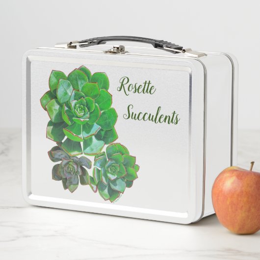 Rosette Succulents (In situ)