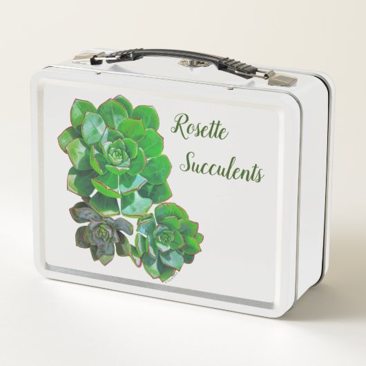 Rosette Succulents (Achterkant)