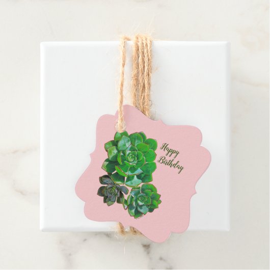 Rosette Succulents Gift Labels (In situ)