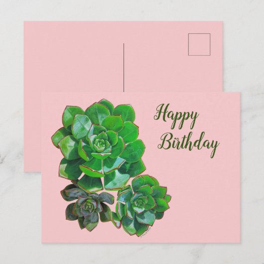 Rosette Succulents Post Kaart (Voorkant / Achterkant)
