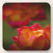 Rosey Cork Onderzetter (Voorkant)