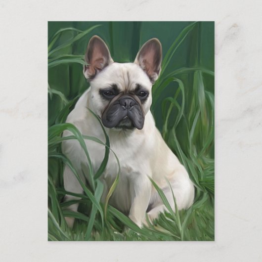 Rosey in het gras briefkaart (Voorkant)