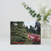 Rosey Landscape Portland, Oregon Briefkaart (Staand voorkant)