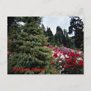 Rosey Landscape Portland, Oregon Briefkaart