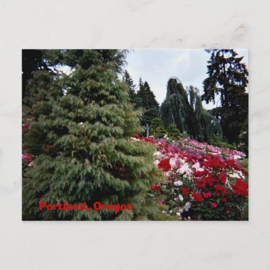 Rosey Landscape Portland, Oregon Briefkaart (Voorkant)
