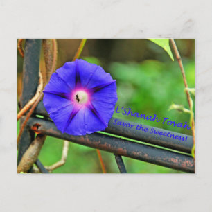 Rosh Hashanah Cards Gifts Feestdagenkaart