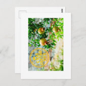 Rosh Hashanah, G’Mar Chatima Tova, Jom Kippoer 578 Briefkaart (Voorkant / Achterkant)