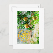 Rosh Hashanah, G’Mar Chatima Tova, Jom Kippoer 578 Feestdagenkaart (Voorkant / Achterkant)