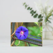 Rosh Hashanah Kaarten Cadeaus Feestdagenkaart (Staand voorkant)