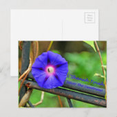 Rosh Hashanah Kaarten Cadeaus Feestdagenkaart (Voorkant / Achterkant)