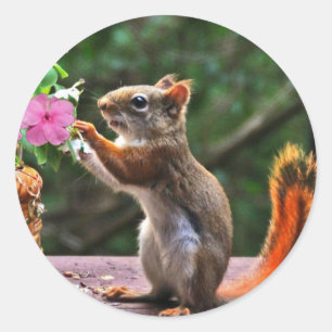 Rosh Hashanah Kaarten Cadeaus Ronde Sticker