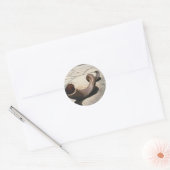 Rosh Hashanah Stickers (Envelop)