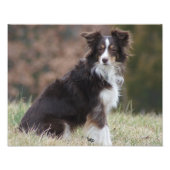 Rosie 1 foto afdruk (Voorkant)