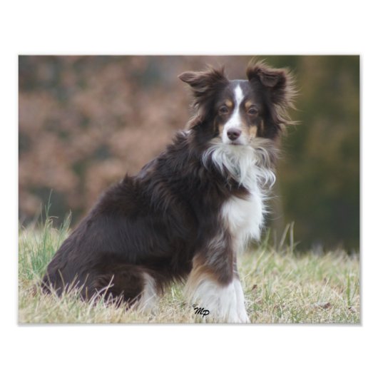 Rosie 1 foto afdruk (Voorkant)