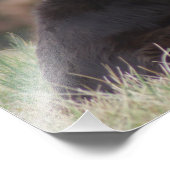 Rosie 1 foto afdruk (Hoek)