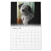 Rosie 2010 kalender (Feb 2027)