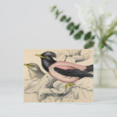 Rosie Bird Sketch Briefkaart (Staand voorkant)