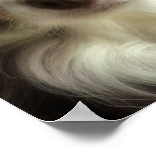 Rosie-closeup Poster (Hoek)