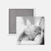 Rosie fotomagneet magneet (Voorkant / Achterkant)