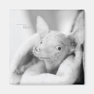 Rosie fotomagneet magneet