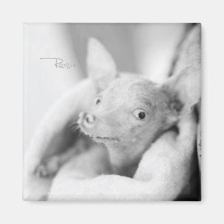 Rosie fotomagneet magneet