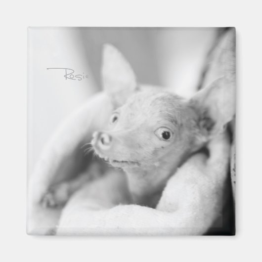 Rosie fotomagneet magneet (Voorkant)