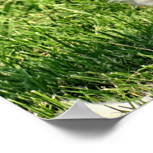 Rosie in de bries poster (Hoek)