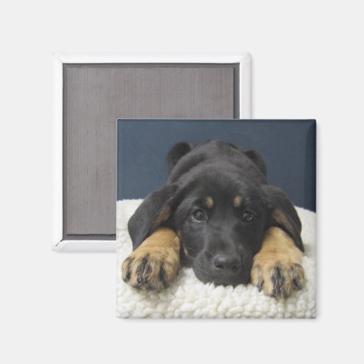 Rosie Magneet (Voorkant / Achterkant)