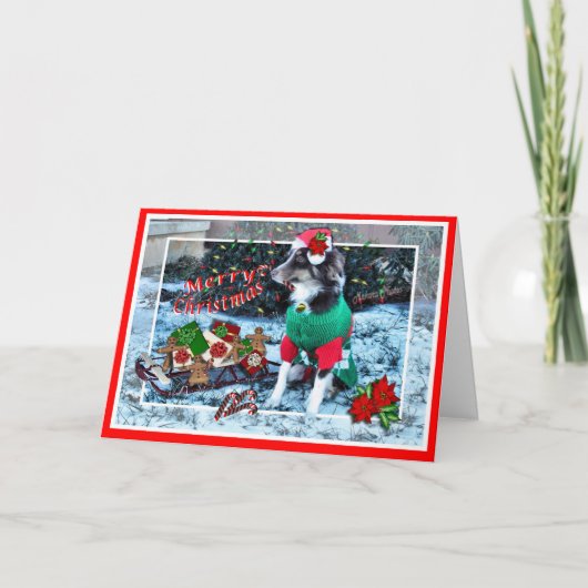 Rosie met slee-past aan feestdagen kaart (Voorkant)