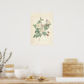 Rosier Canvas Print (Keuken)