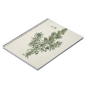 Rosmarinus Officinalis uit 'A Curious Herbal', 1 Notitieboek (Linkerzijde)