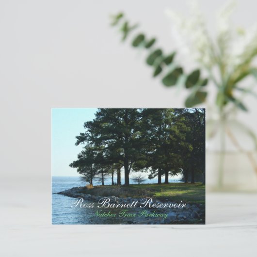 Ross Barnett Reservoir op Natchez Trace Parkway Briefkaart (Staand voorkant)