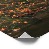 Ross Brook Herfsten Autumn Berkshires Waterfall Poster (Hoek)