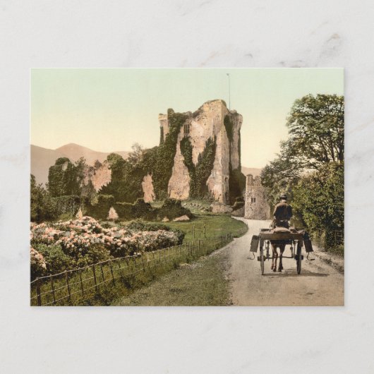 Ross Castle II, Killarney, County Kerry Briefkaart (Voorkant)