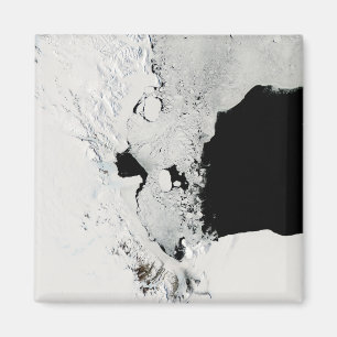 Ross Zee, Antarctica Magneet