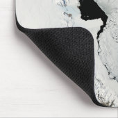 Ross Zee, Antarctica Muismat (Hoek)