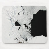 Ross Zee, Antarctica Muismat (Voorkant)