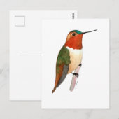 Rosse Kolibrie Briefkaart (Voorkant / Achterkant)
