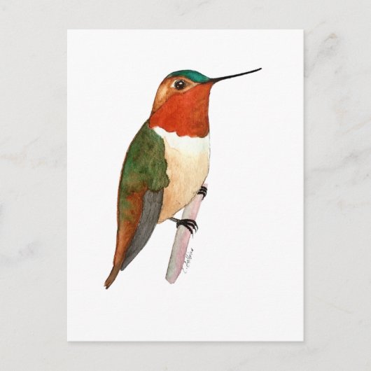 Rosse Kolibrie Briefkaart (Voorkant)