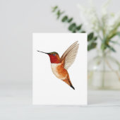 Rosse Kolibrie Briefkaart (Staand voorkant)