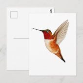 Rosse Kolibrie Briefkaart (Voorkant / Achterkant)