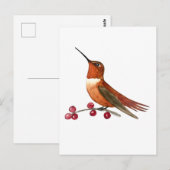 Rosse Kolibrie Briefkaart (Voorkant / Achterkant)