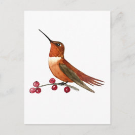 Rosse Kolibrie Briefkaart