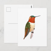 Rosse Kolibrie Briefkaart (Voorkant / Achterkant)