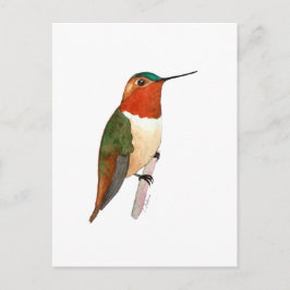 Rosse Kolibrie Briefkaart